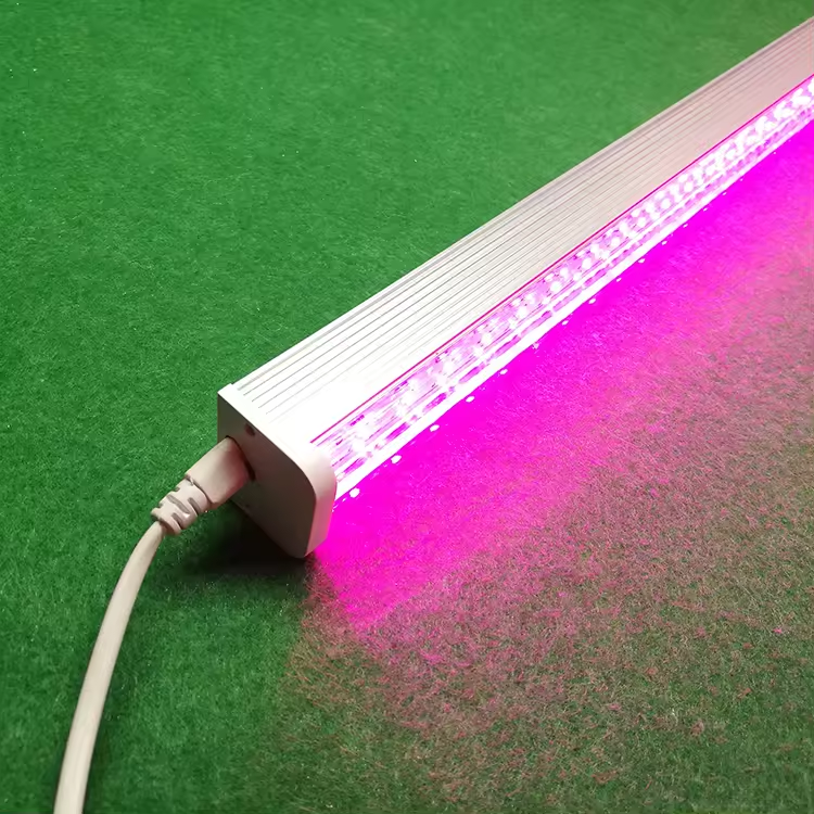 Indoor LED Grow Light for Plants